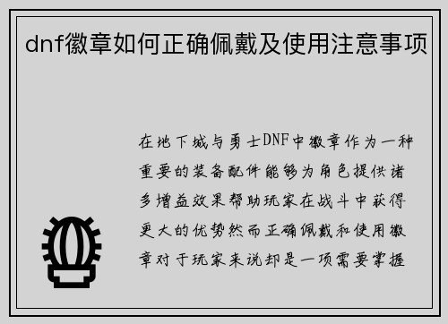 dnf徽章如何正确佩戴及使用注意事项